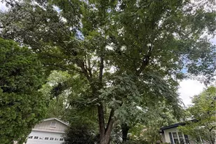 73 N 4th St, Colbert, GA 30628 - Photo 36