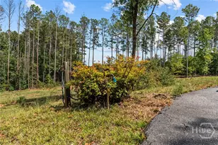 499 Double Branch Road Rd, Danielsville, GA 30633 - Photo 30