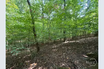 Lot 1643 Cranberry Lane, Hilton Head Island, SC 29693 - Photo 6
