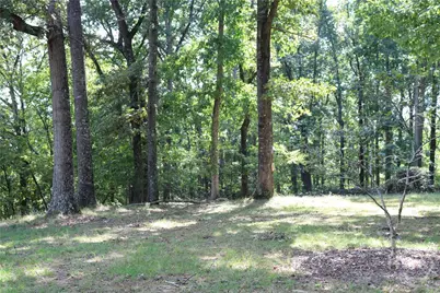 2096 Roy Woods Road, Comer, GA 30629 - Photo 2