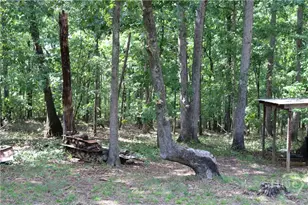 2096 Roy Woods Rd, Comer, GA 30629 - Photo 38