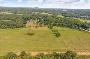 5479 Hwy 63, Toccoa, GA 30577 - Photo 70