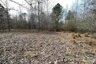 884 Jackson Trail Rd, Winder, GA 30680 - Photo 12