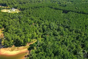 1165 Watersedge Cove, Tignall, GA 30668 - Photo 52