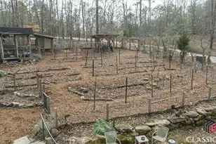 1257 Seymour Rd, Bowman, GA 30624 - Photo 42