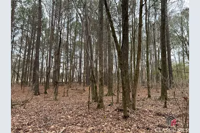 Lot B Salem Road, Watkinsville, GA 30677 - Photo 10