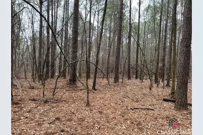 Lot B Salem Road, Watkinsville, GA 30677 - Photo 6