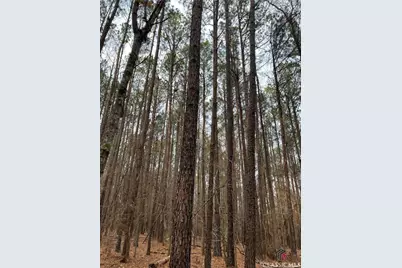 Lot B Salem Road, Watkinsville, GA 30677 - Photo 14