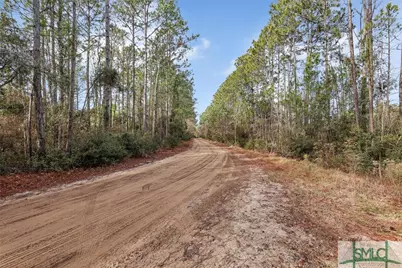 0 Steeple Chase Lane, Richmond Hill, GA 31324 - Photo 16