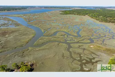 41 Gray Heron Retreat, Savannah, GA 31411 - Photo 16