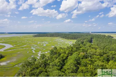41 Gray Heron Retreat, Savannah, GA 31411 - Photo 1