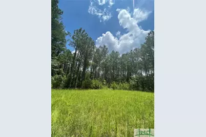 0 Rahn Station Road, Springfield, GA 31329 - Photo 2