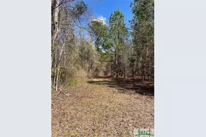 0 Fish Road, Newington, GA 30446 - Photo 10