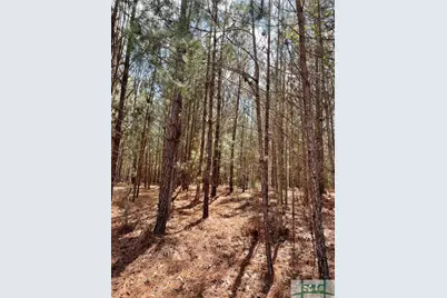 0 Fish Road, Newington, GA 30446 - Photo 8
