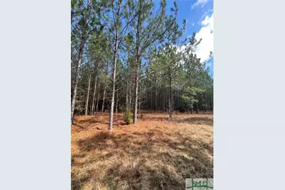 0 Fish Road, Newington, GA 30446 - Photo 6