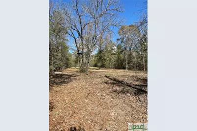 0 Fish Road, Newington, GA 30446 - Photo 2