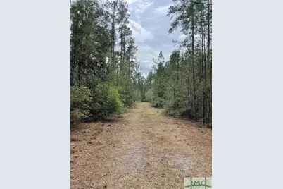 0 Pleasant Acres Road, Springfield, GA 31329 - Photo 8