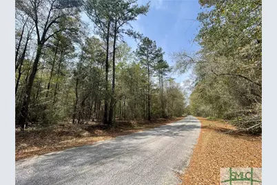 0 Pleasant Acres Road, Springfield, GA 31329 - Photo 2
