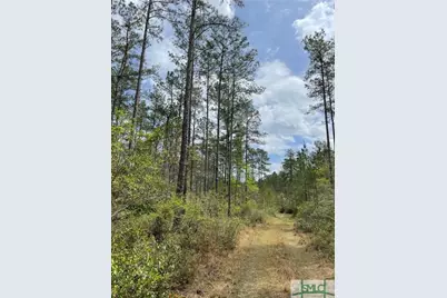 0 Pleasant Acres Road, Springfield, GA 31329 - Photo 10