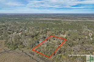 14009 Ga 99 Hwy, Darien, GA 31305 - Photo 4