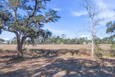Lot 6 Bermuda Bluff Lane, Midway, GA 31320 - Photo 2