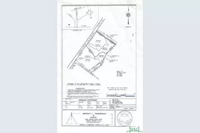 0 Highway 119, Pembroke, GA 31321 - Photo 2