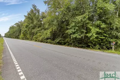 0 Highway 119, Pembroke, GA 31321 - Photo 4