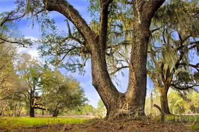 1 William's (36 Lots 95 Acres) Retreat, Savannah, GA 31419 - Photo 2