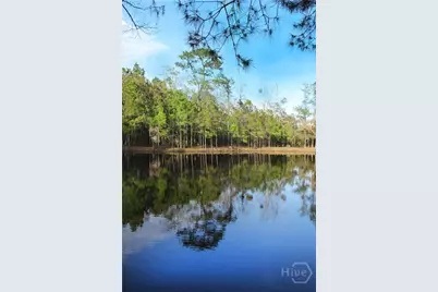 1 William's (36 Lots 95 Acres) Retreat, Savannah, GA 31419 - Photo 2