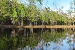 1 William's (36 Lots 95 Acres) Retreat, Savannah, GA 31419 - Photo 2