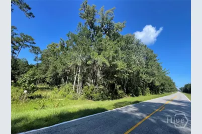 0 Reedsville Rd, Clyo, GA 31303 - Photo 1