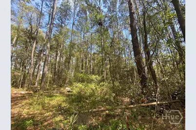 0 Skinner Place, Savannah, GA 31406 - Photo 8