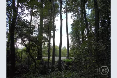 O Us-80, Pooler, GA 31415 - Photo 1