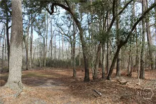 776 Phillips Rd, Midway, GA 31320 - Photo 6