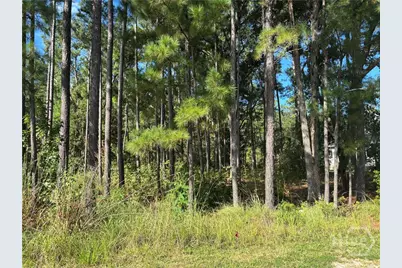 183 Wood Haven Lane, Pooler, GA 31322 - Photo 2