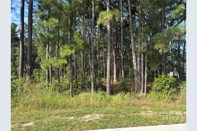 183 Wood Haven Lane, Pooler, GA 31322 - Photo 1