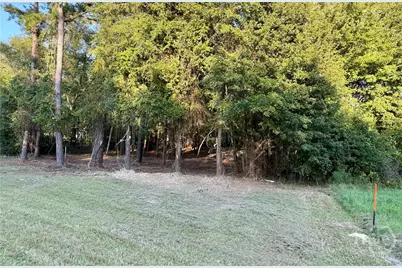 0 Friendship Road, Sylvania, GA 30467 - Photo 2
