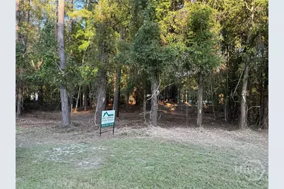 0 Friendship Road, Sylvania, GA 30467 - Photo 8