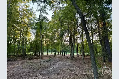 0 Friendship Road, Sylvania, GA 30467 - Photo 6