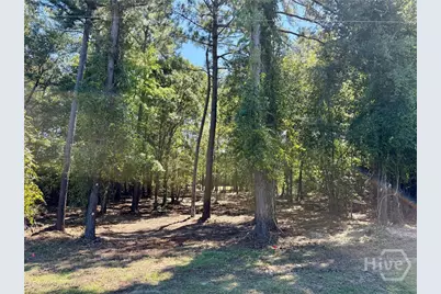 0 Friendship Road, Sylvania, GA 30467 - Photo 4