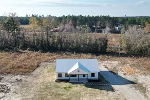 217 Mimosa Rd, Swainsboro, GA 30401 - Photo 4