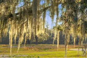 4 William's Retreat, Savannah, GA 31419 - Photo 2