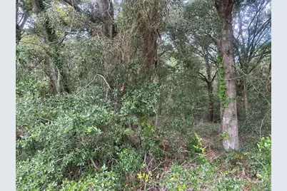 1236 Seaside Road, Saint Helena Island, SC 29920 - Photo 2