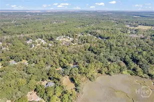 262 Mingarry Dr, Richmond Hill, GA 31324 - Photo 66