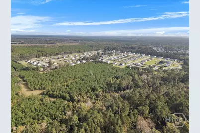 000 Wilma Edwards Road, Ellabell, GA 31308 - Photo 8