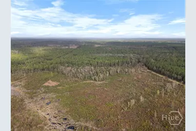 000 Wilma Edwards Road, Ellabell, GA 31308 - Photo 18