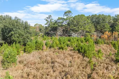 50 Old River Road, Bloomingdale, GA 31402 - Photo 18