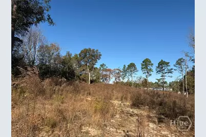 0 Green Ridge Court, Statesboro, GA 30458 - Photo 1