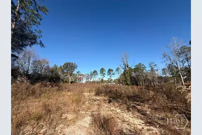 0 Green Ridge Court, Statesboro, GA 30458 - Photo 4