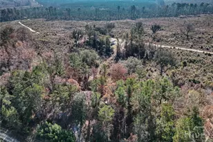 2286 Carter Bight Landing Rd, Surrency, GA 31563 - Photo 30